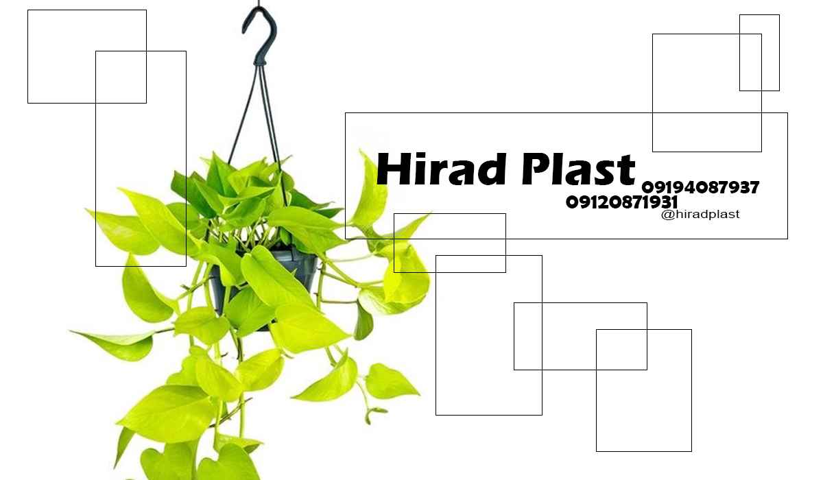 گلدان پلاستیکی آپارتمانی