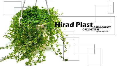 گلدان پلاستیکی